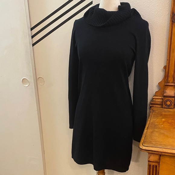 Athleta Dresses & Skirts - Athleta extra fine Marino wool Black Turtleneck Dress